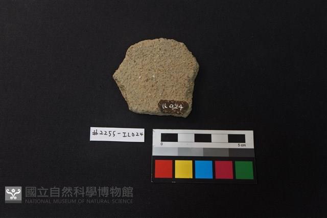 陶片藏品圖，第2張