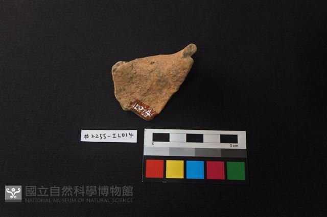 陶片藏品圖，第2張