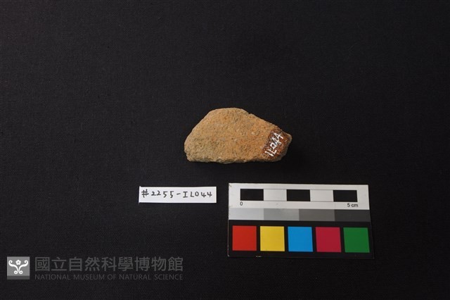 陶片藏品圖，第2張
