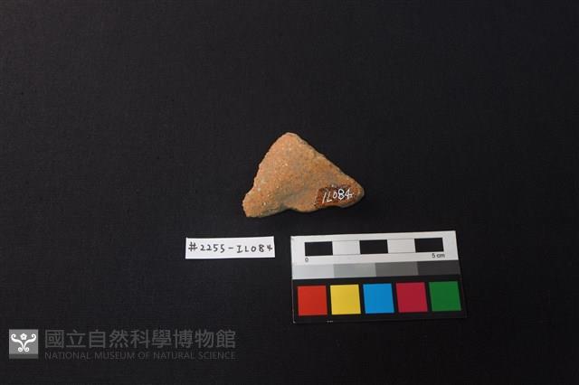 陶片藏品圖，第2張