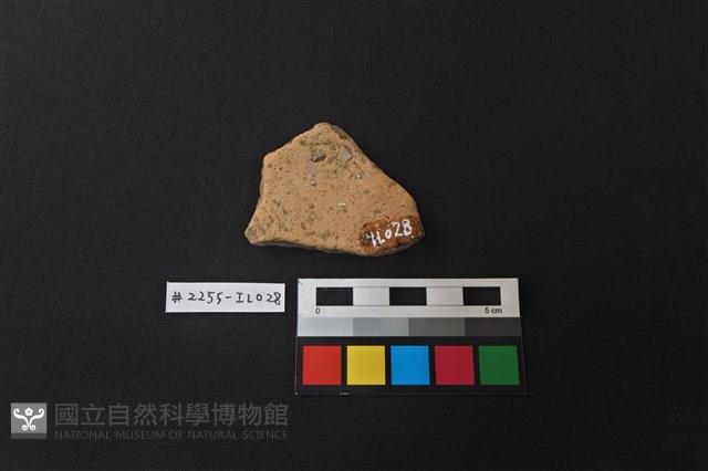 陶片藏品圖，第2張