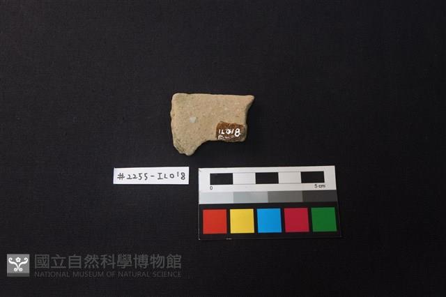 陶片藏品圖，第2張