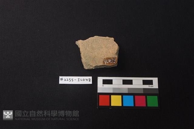 陶片藏品圖，第2張