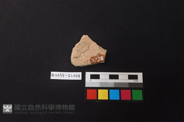 陶片藏品圖，第2張