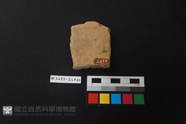 陶片藏品圖，第2張