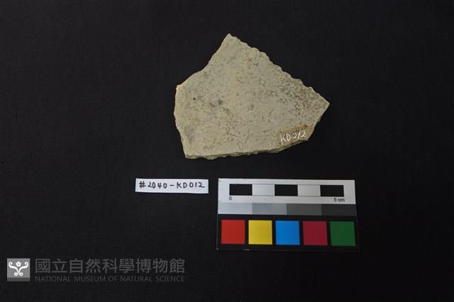 陶片藏品圖，第2張