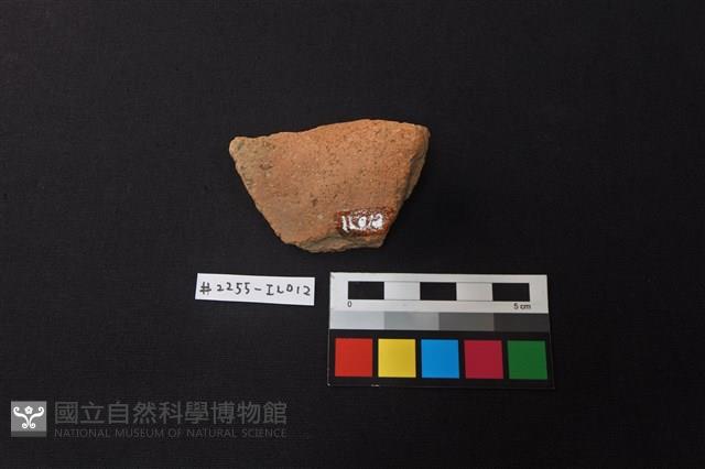 陶片藏品圖，第2張