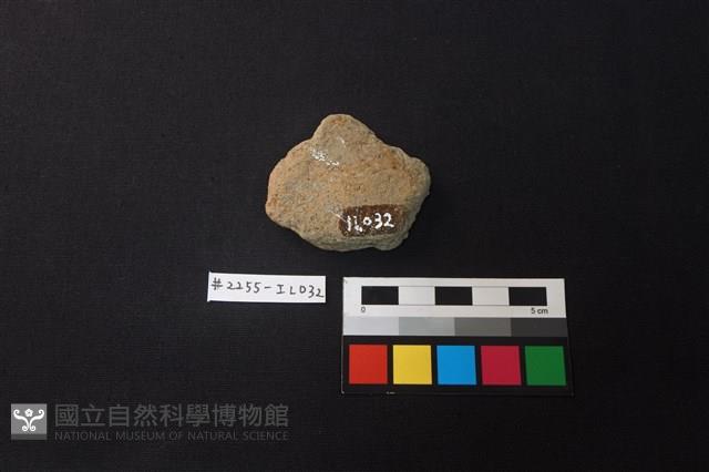 陶片藏品圖，第2張