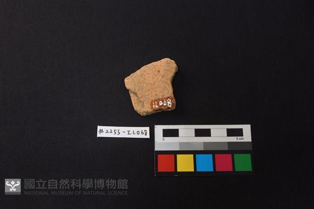 陶片藏品圖，第2張