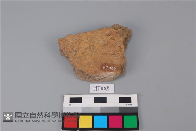 陶片藏品圖，第2張