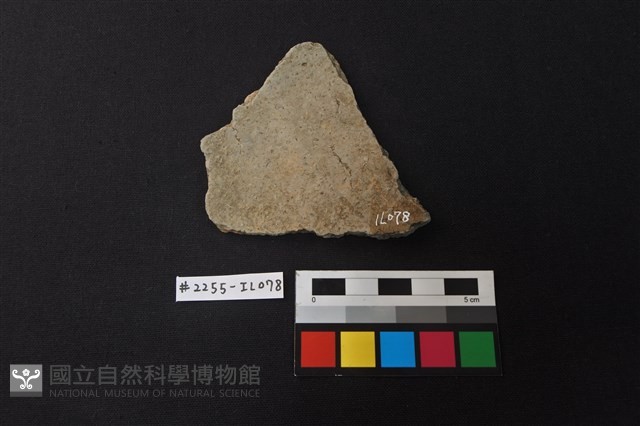 陶片藏品圖，第2張