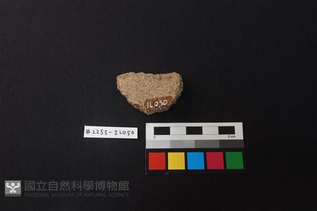 陶片藏品圖，第2張