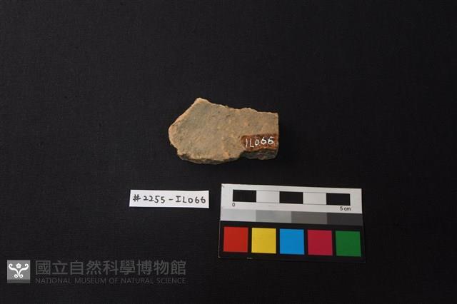 陶片藏品圖，第2張