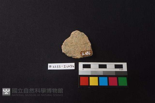 陶片藏品圖，第2張