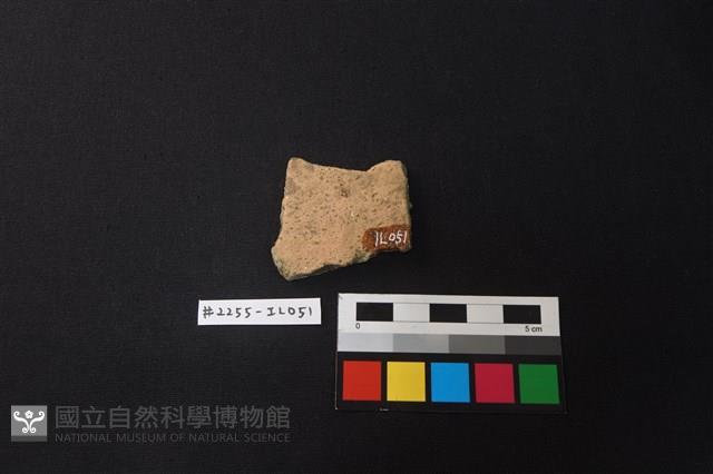 陶片藏品圖，第2張