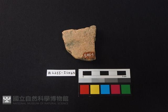 陶片藏品圖，第2張