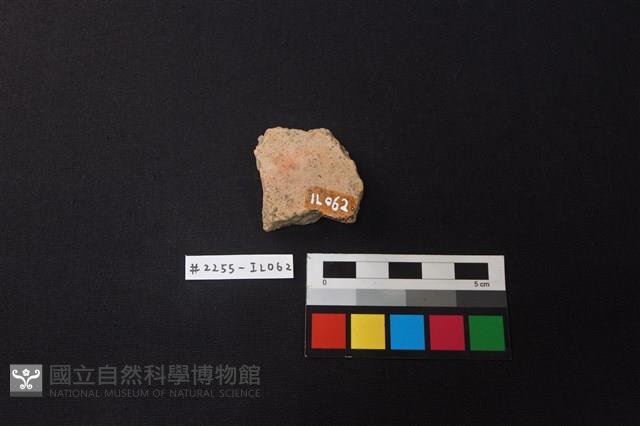 陶片藏品圖，第2張