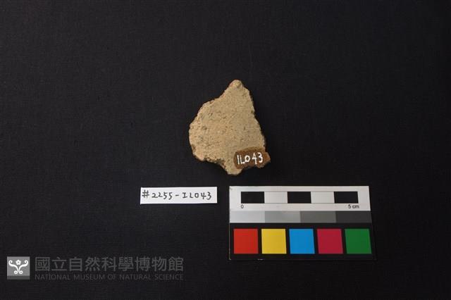 陶片藏品圖，第2張