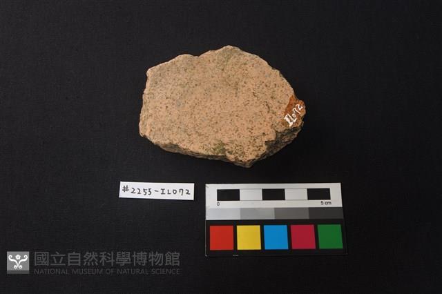 陶片藏品圖，第2張