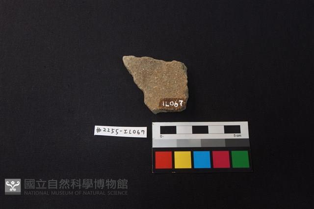 陶片藏品圖，第2張