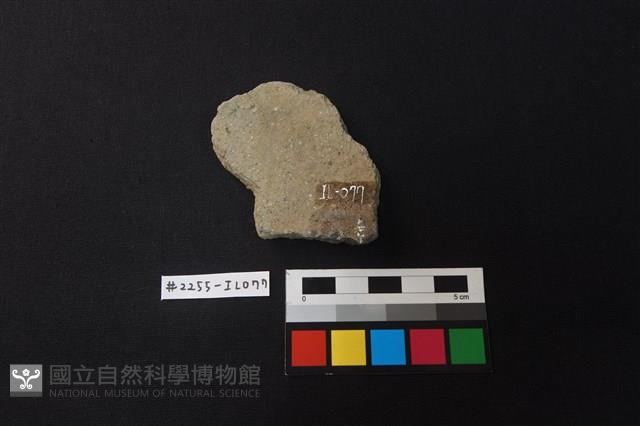 陶片藏品圖，第2張