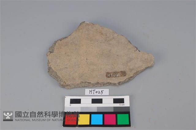 陶片藏品圖，第2張
