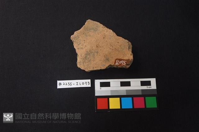 陶片藏品圖，第2張