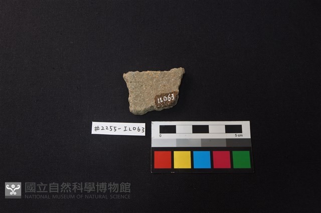 陶片藏品圖，第2張