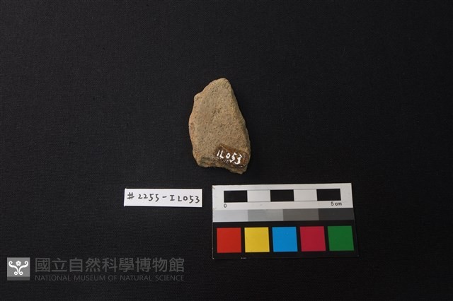 陶片藏品圖，第2張