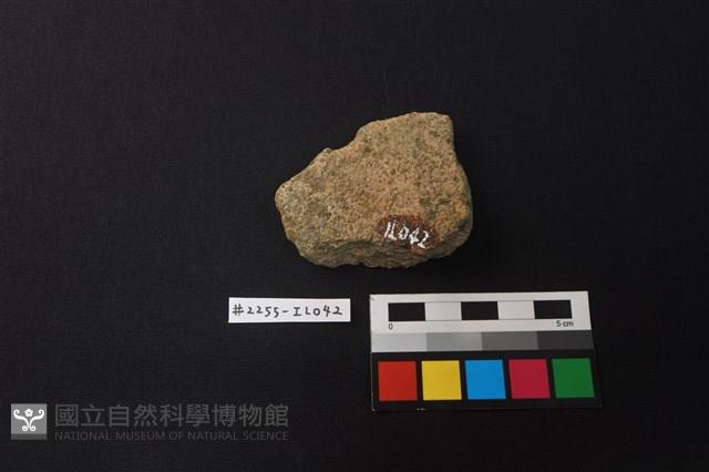 陶片藏品圖，第2張