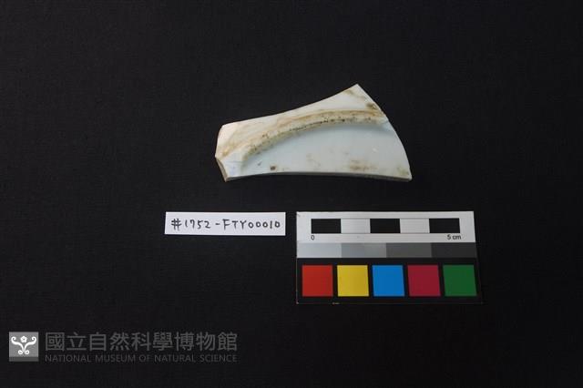 瓷片藏品圖，第2張