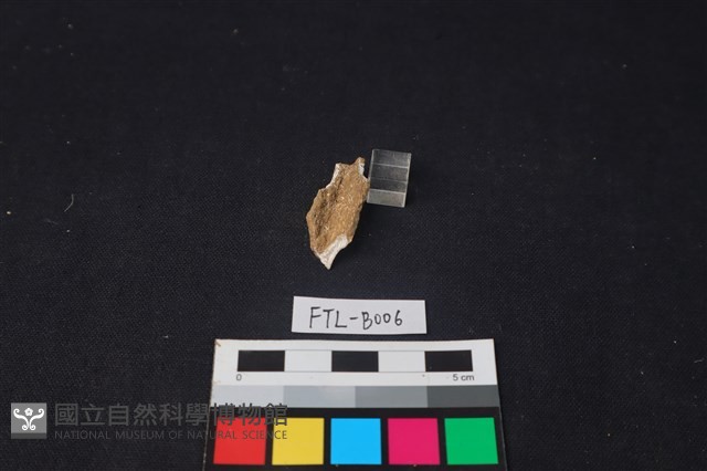 獸骨藏品圖，第2張