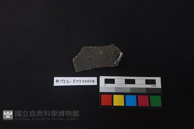 陶片藏品圖，第2張