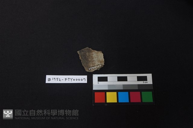 陶片藏品圖，第2張