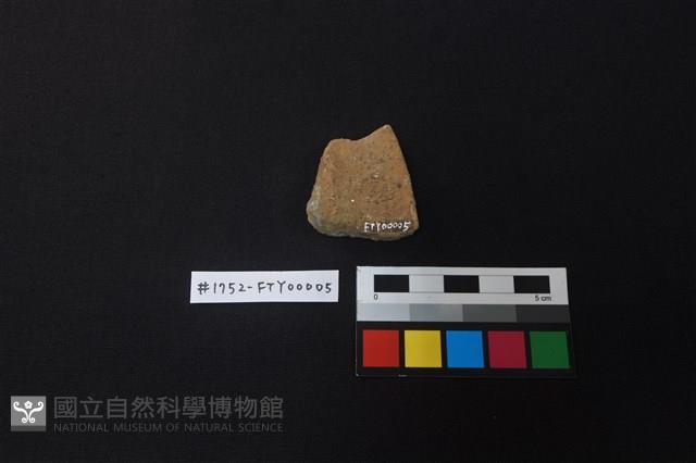 陶片藏品圖，第2張