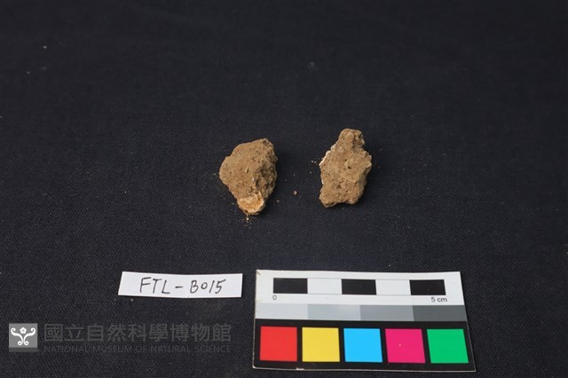 獸骨藏品圖，第2張
