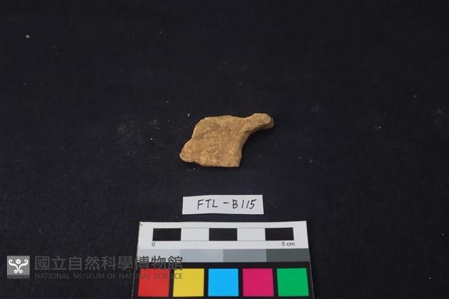 獸骨藏品圖，第2張