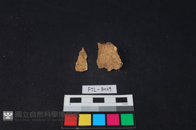 獸骨藏品圖，第2張