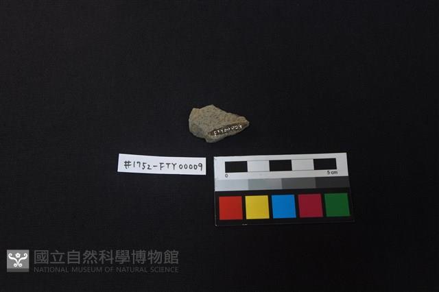 陶片藏品圖，第2張