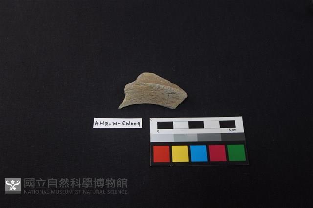 硬陶片藏品圖，第2張