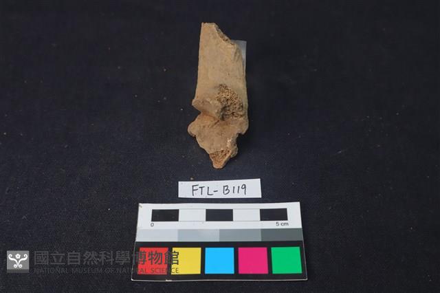 鹿骨藏品圖，第2張