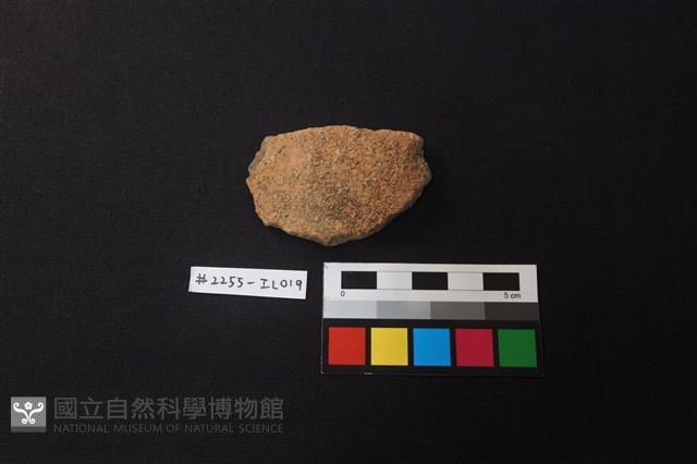 陶片藏品圖，第1張