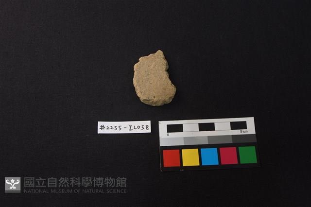 陶片藏品圖，第1張