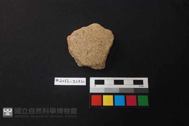 陶片藏品圖，第1張