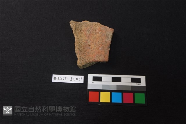陶片藏品圖，第1張