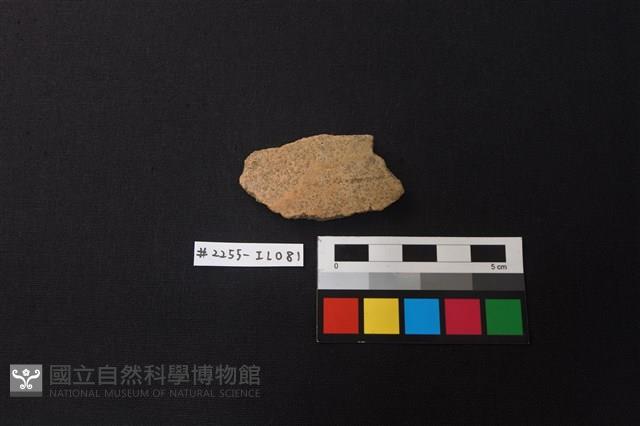 陶片藏品圖，第1張