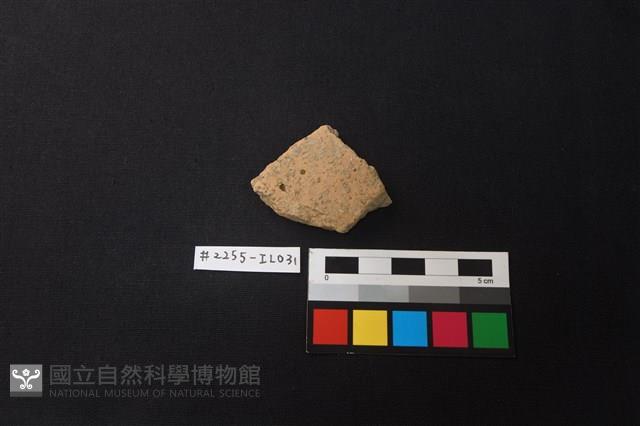 陶片藏品圖，第1張