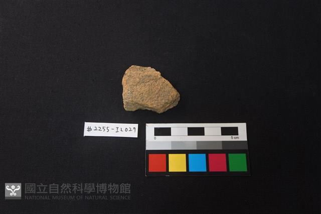 陶片藏品圖，第1張