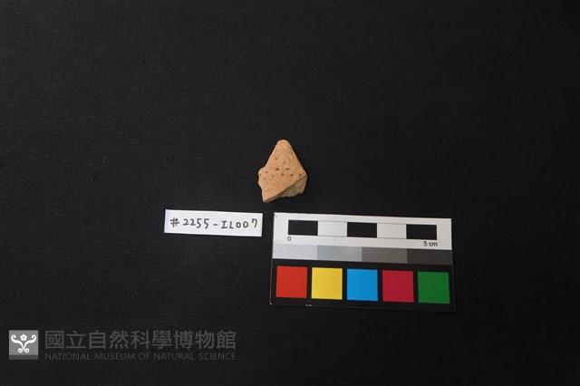 陶片藏品圖，第1張