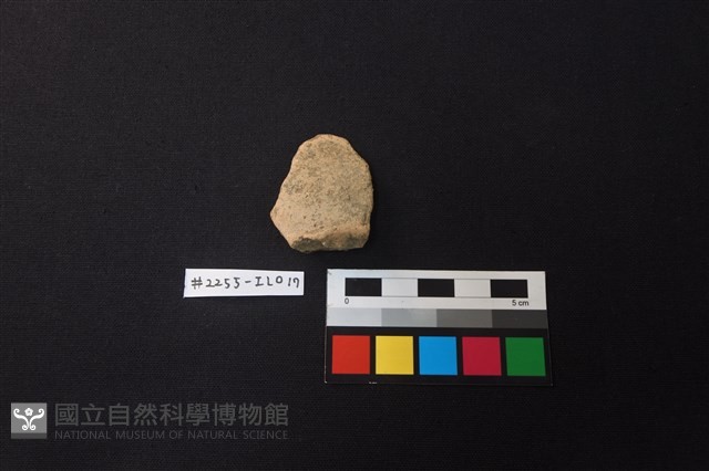 陶片藏品圖，第1張
